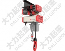 0.25噸DLEK環(huán)鏈電動(dòng)葫蘆運(yùn)行式